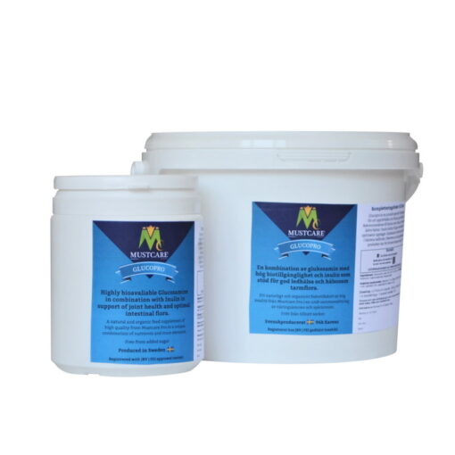 Bioavaliable glucosamine for horses