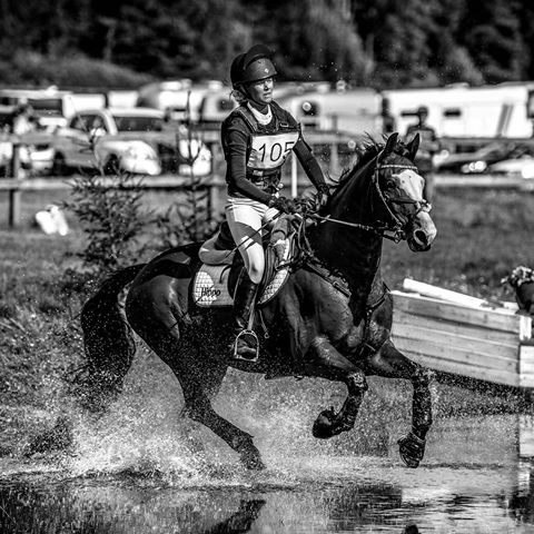 eventing magnesium deficiency in horses