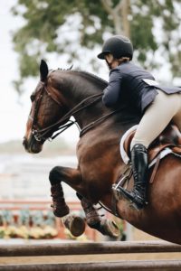 Feed supplements for horses